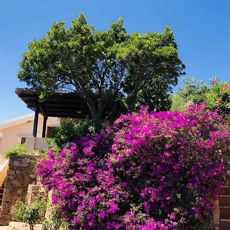 Bilocale Vista Mare 250 Mt Апартаменты *