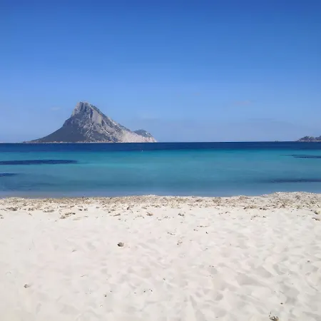 Daire Bilocale Vista Mare 250 Mt Porto Taverna