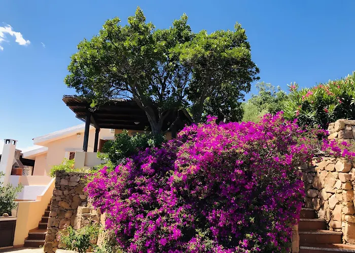 Bilocale Vista Mare 250 Mt Апартаменты *